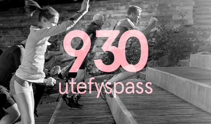 930 utefyspass